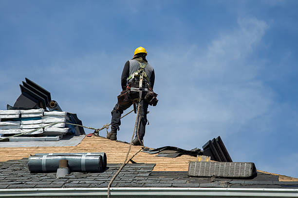 Professional Metal Roofing technician working in Astoria, IL